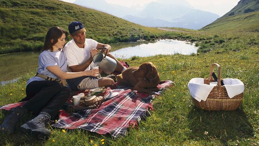 Stay Cool, Stay Fresh: Electric Must-Haves for a Perfect Summer